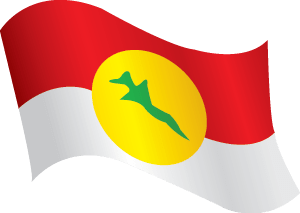 UMNO Flag (wave)